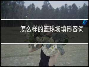 怎么样的篮球场填形容词