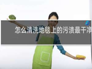 怎么清洗地毯上的污渍最干净 - 地毯太脏了用什么方法清洗呀