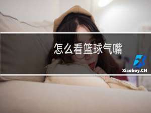 怎么看篮球气嘴