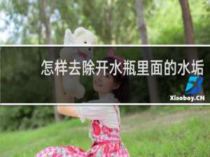 怎样去除开水瓶里面的水垢 - 暖瓶内胆水垢太厚清除妙招