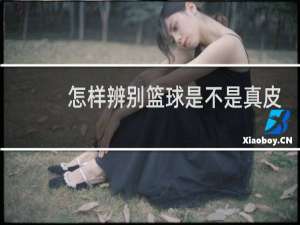 怎样辨别篮球是不是真皮