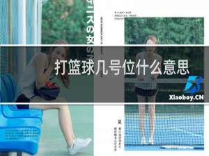 打篮球几号位什么意思