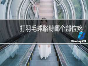 打羽毛球胳膊哪个部位疼