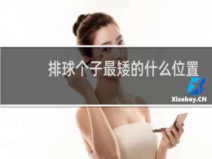 排球个子最矮的什么位置
