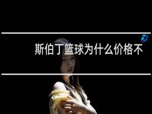斯伯丁篮球为什么价格不一样