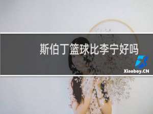 斯伯丁篮球比李宁好吗