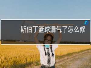 斯伯丁篮球漏气了怎么修复