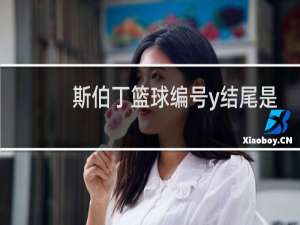 斯伯丁篮球编号y结尾是什么意思