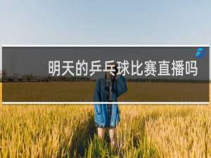 明天的乒乓球比赛直播吗