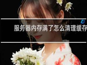 服务器内存满了怎么清理缓存 - 服务器缓存在哪里删除