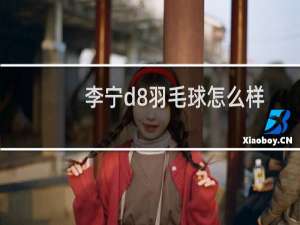 李宁d8羽毛球怎么样
