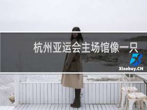 杭州亚运会主场馆像一只什么网