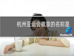 杭州亚运会徽章的名称是什么