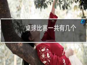 桌球比赛一共有几个
