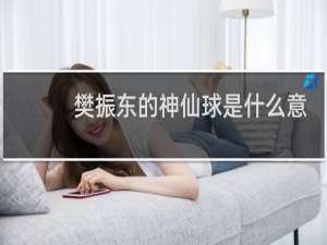 樊振东的神仙球是什么意思