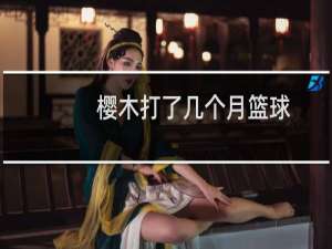 樱木打了几个月篮球