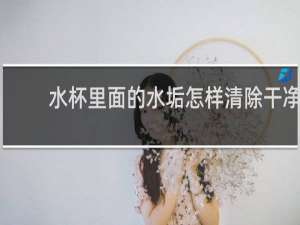 水杯里面的水垢怎样清除干净 - 塑料杯子内壁污垢怎么去除