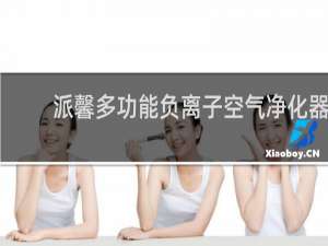派馨多功能负离子空气净化器 - 派馨负离子净化器说明书