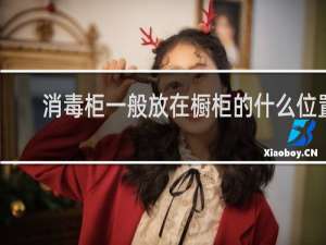 消毒柜一般放在橱柜的什么位置 - 装了消毒柜太后悔了