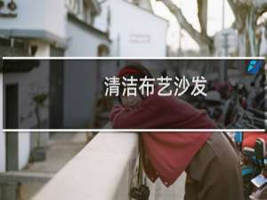 清洁布艺沙发 - 如何自己清洗布艺沙发