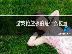 游戏抢篮板的是什么位置