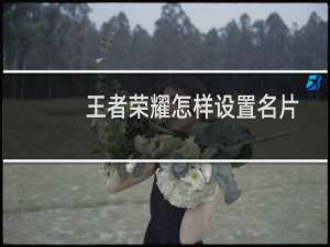 王者荣耀怎样设置名片
