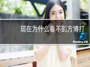 现在为什么看不到方博打球