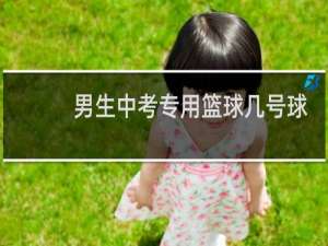 男生中考专用篮球几号球