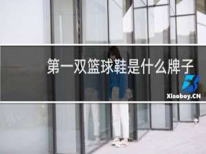 第一双篮球鞋是什么牌子