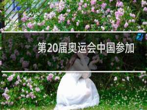 第20届奥运会中国参加了吗