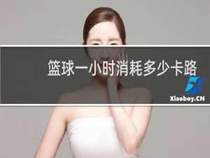 篮球一小时消耗多少卡路里