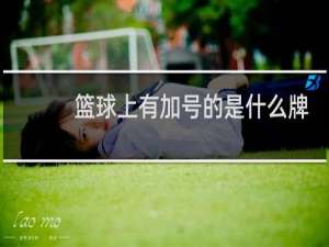 篮球上有加号的是什么牌子
