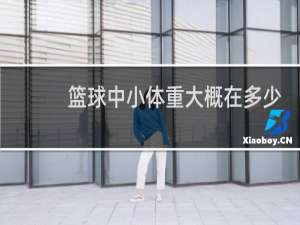 篮球中小体重大概在多少斤