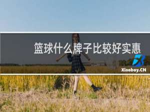 篮球什么牌子比较好实惠