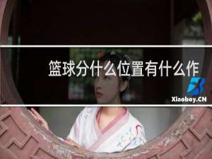 篮球分什么位置有什么作用