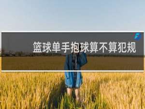 篮球单手抱球算不算犯规
