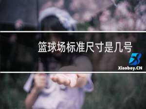 篮球场标准尺寸是几号