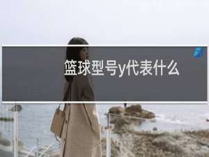 篮球型号y代表什么