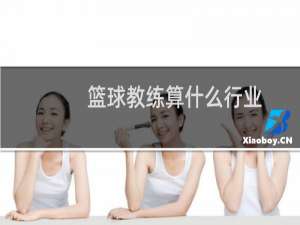 篮球教练算什么行业