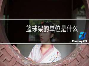 篮球架的单位是什么