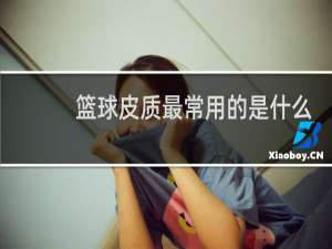 篮球皮质最常用的是什么