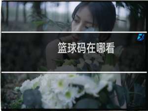 篮球码在哪看