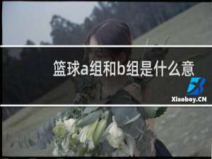 篮球a组和b组是什么意思