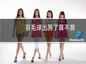 羽毛球出界了算不算