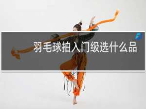 羽毛球拍入门级选什么品牌