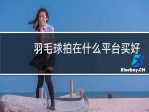 羽毛球拍在什么平台买好