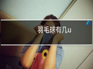 羽毛球有几u