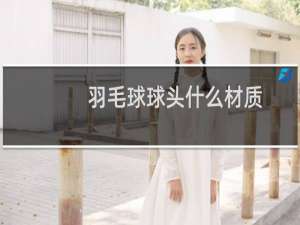 羽毛球球头什么材质