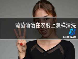 葡萄酒洒在衣服上怎样清洗 - 衣服上沾到葡萄酒怎么清洗