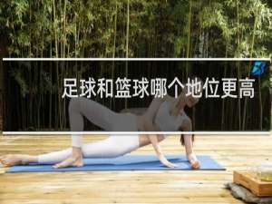 足球和篮球哪个地位更高